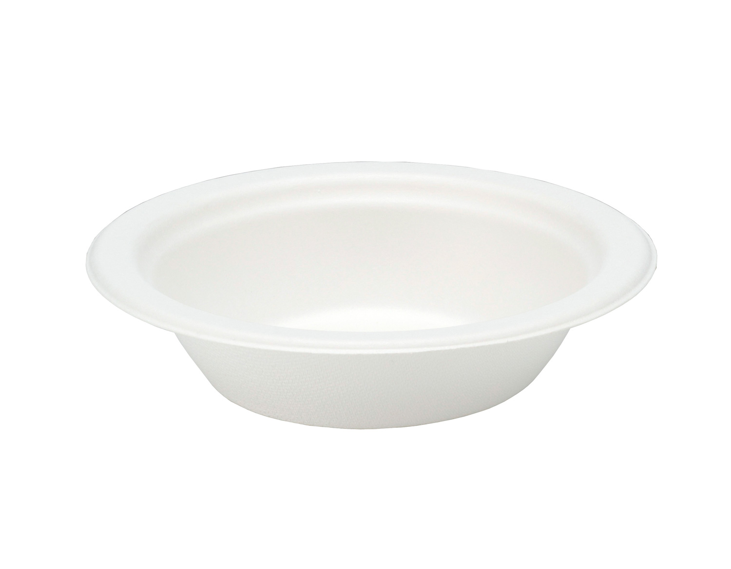 Featured Image for Bagasse Disposable Range